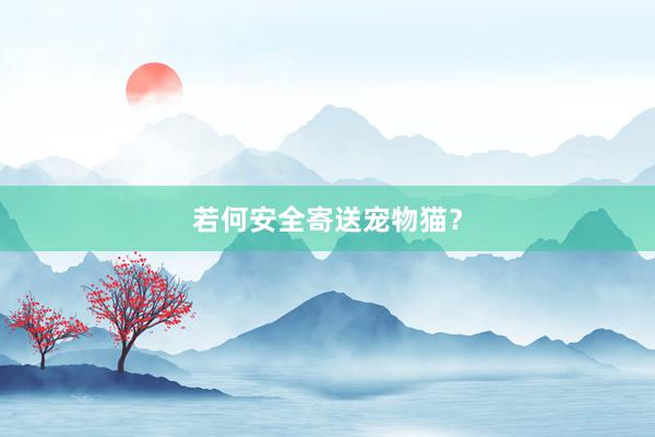 若何安全寄送宠物猫？